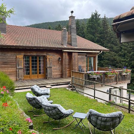 Au 21 Vosgien Bed & Breakfast Ventron Bagian luar foto