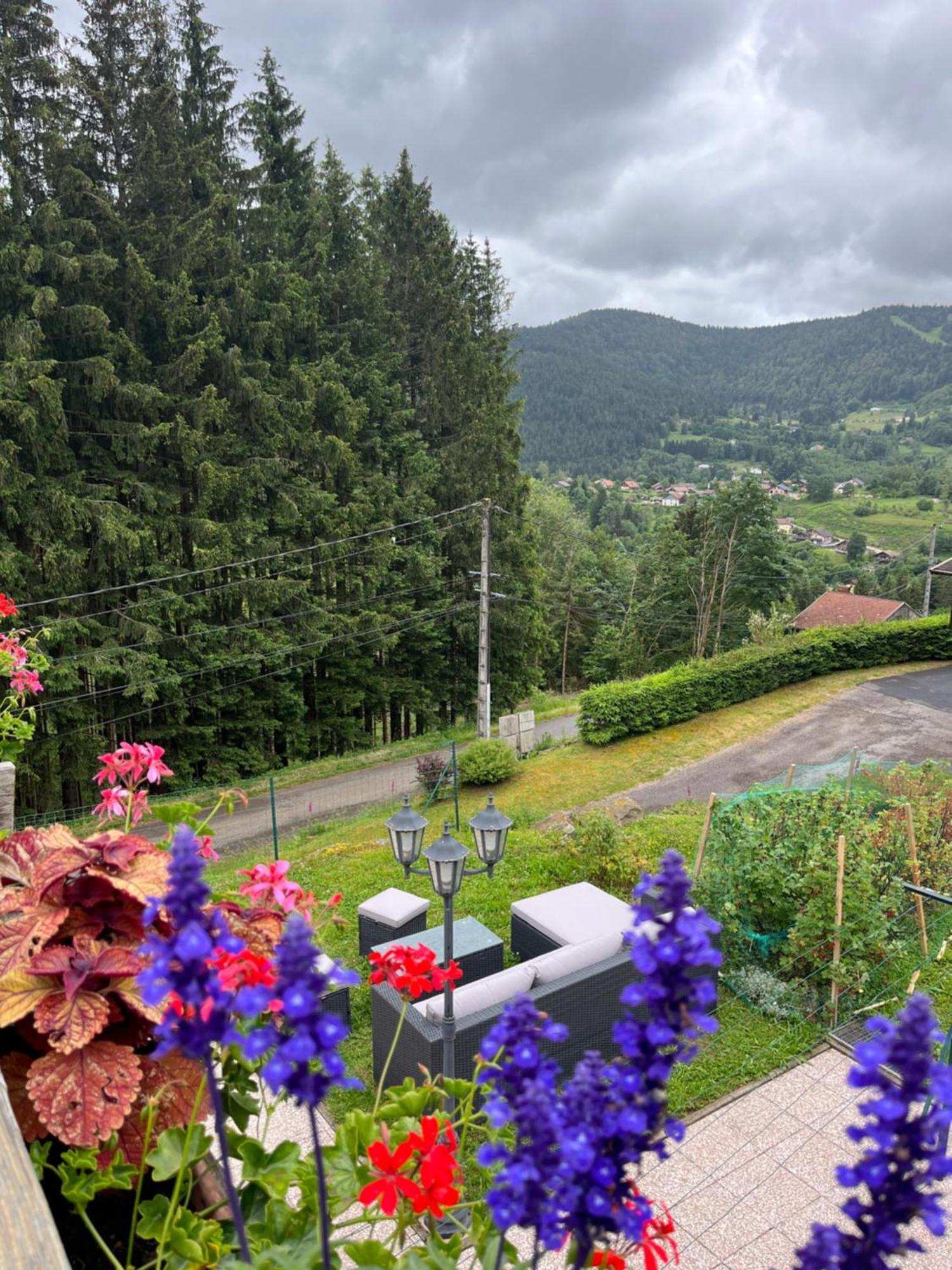 Au 21 Vosgien Bed & Breakfast Ventron Bagian luar foto