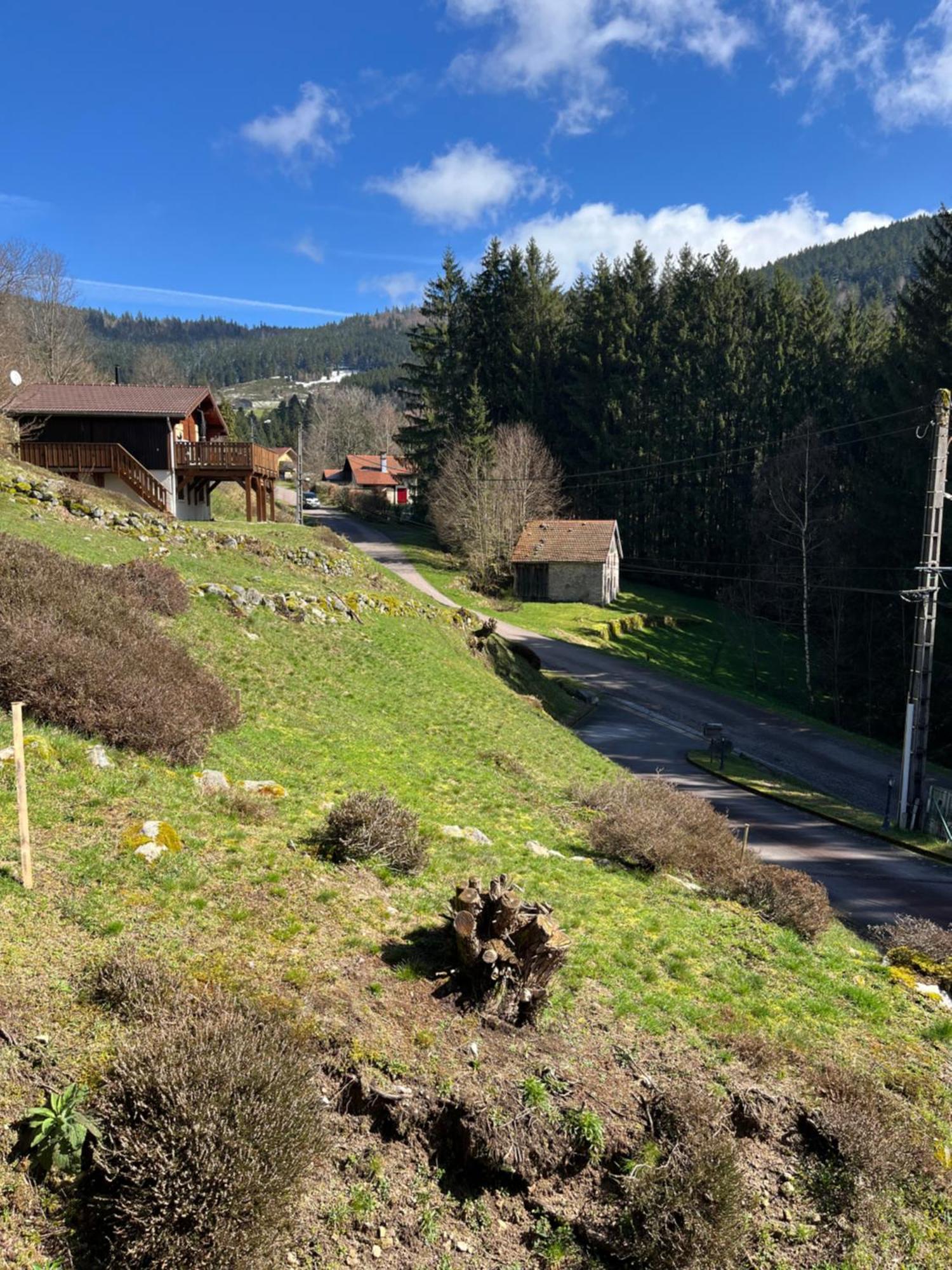 Au 21 Vosgien Bed & Breakfast Ventron Bagian luar foto